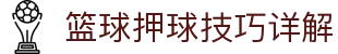 玩球预测指南：赛事前瞻、比分判断与赔率数据参考